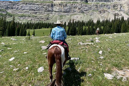 A man is riding a horse in a field with a mountain in the background.