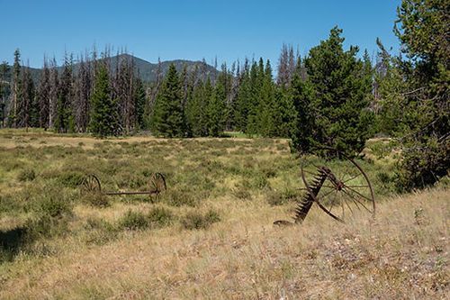 A field with trees and mountains in the background