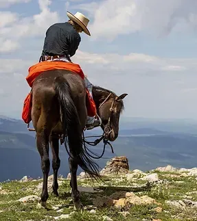 A man in a cowboy hat is riding a horse on top of a hill.