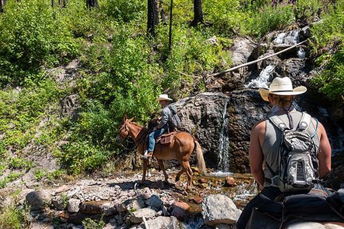 A man is riding a horse next to a waterfall.