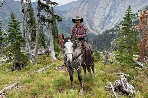 A man in a cowboy hat is riding a horse in the mountains.