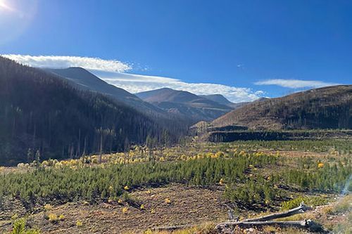 A valley with mountains in the background and trees in the foreground