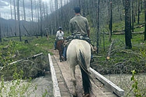A man and a woman are riding horses across a wooden bridge.