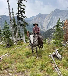 A man is riding a horse in the mountains.