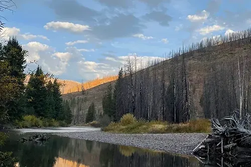 A river surrounded by trees and mountains with a mountain in the background.