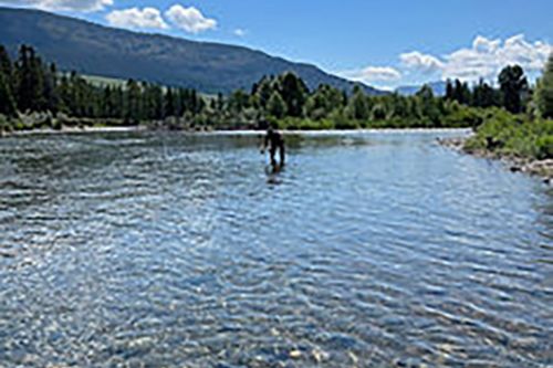 A person is standing in the middle of a river.