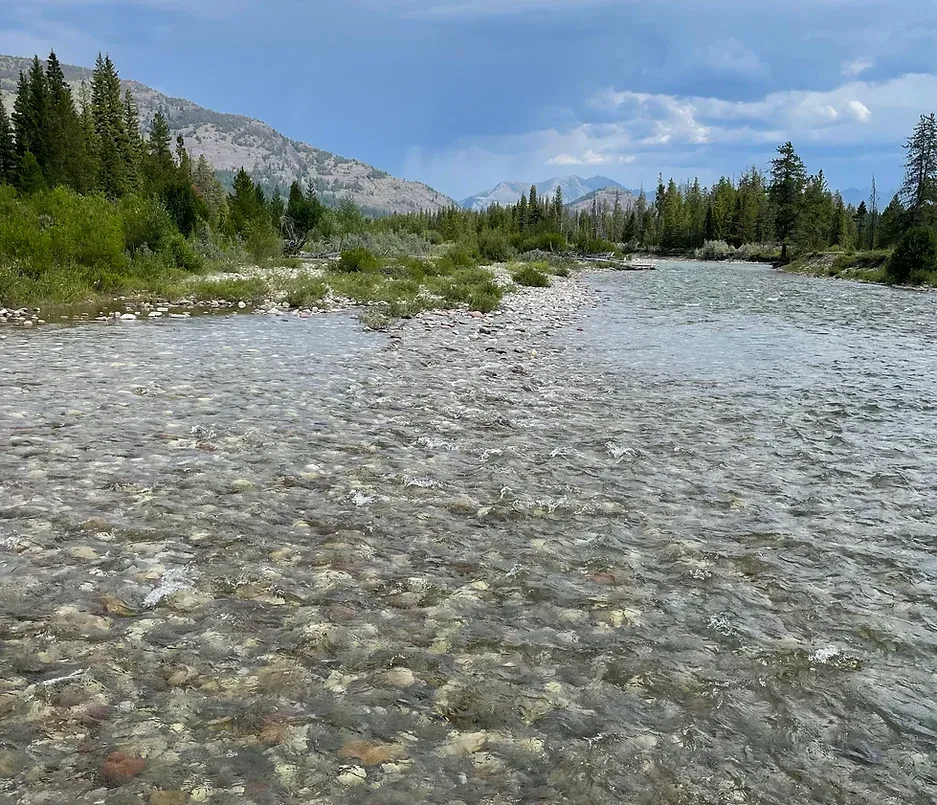 A river flowing through a forest with mountains in the background