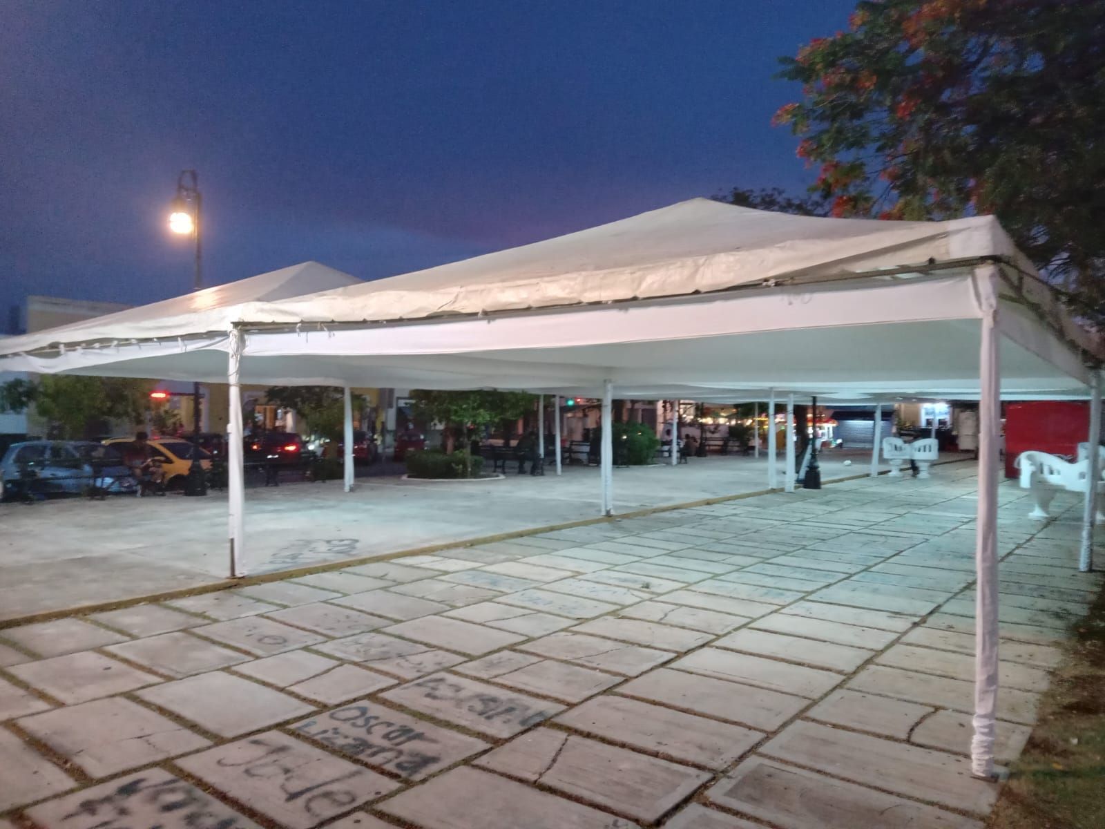 CARPAS Y TARIMAS OCTAVIO EZEQUIEL