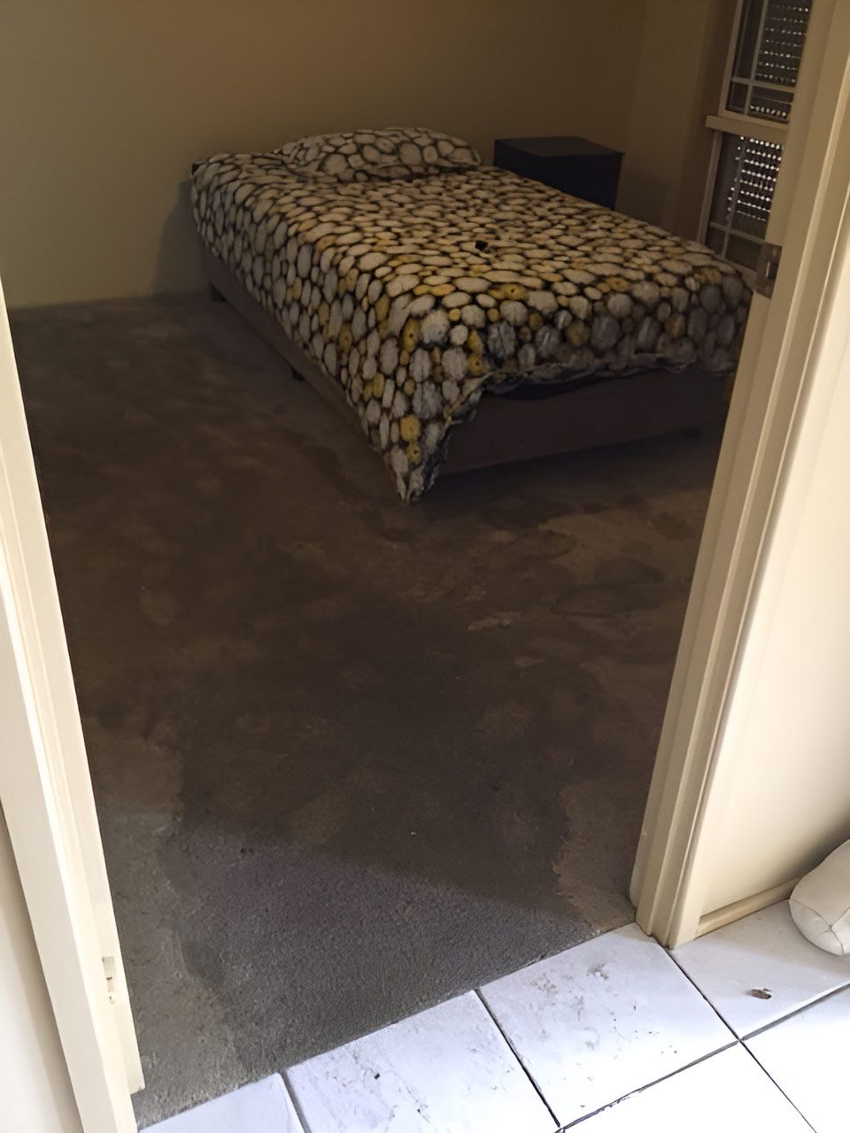 A Bedroom With Wet Carpet Flooring — Dryology Carpet Cleaning in Newcastle, NSW