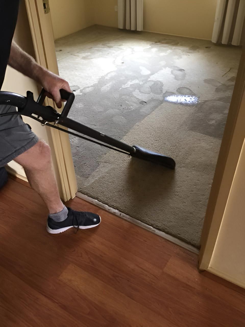 A Man Is Using A Vacuum Cleaner To Clean A Carpet In A Room — Dryology Carpet Cleaning in Maitland, NSW
