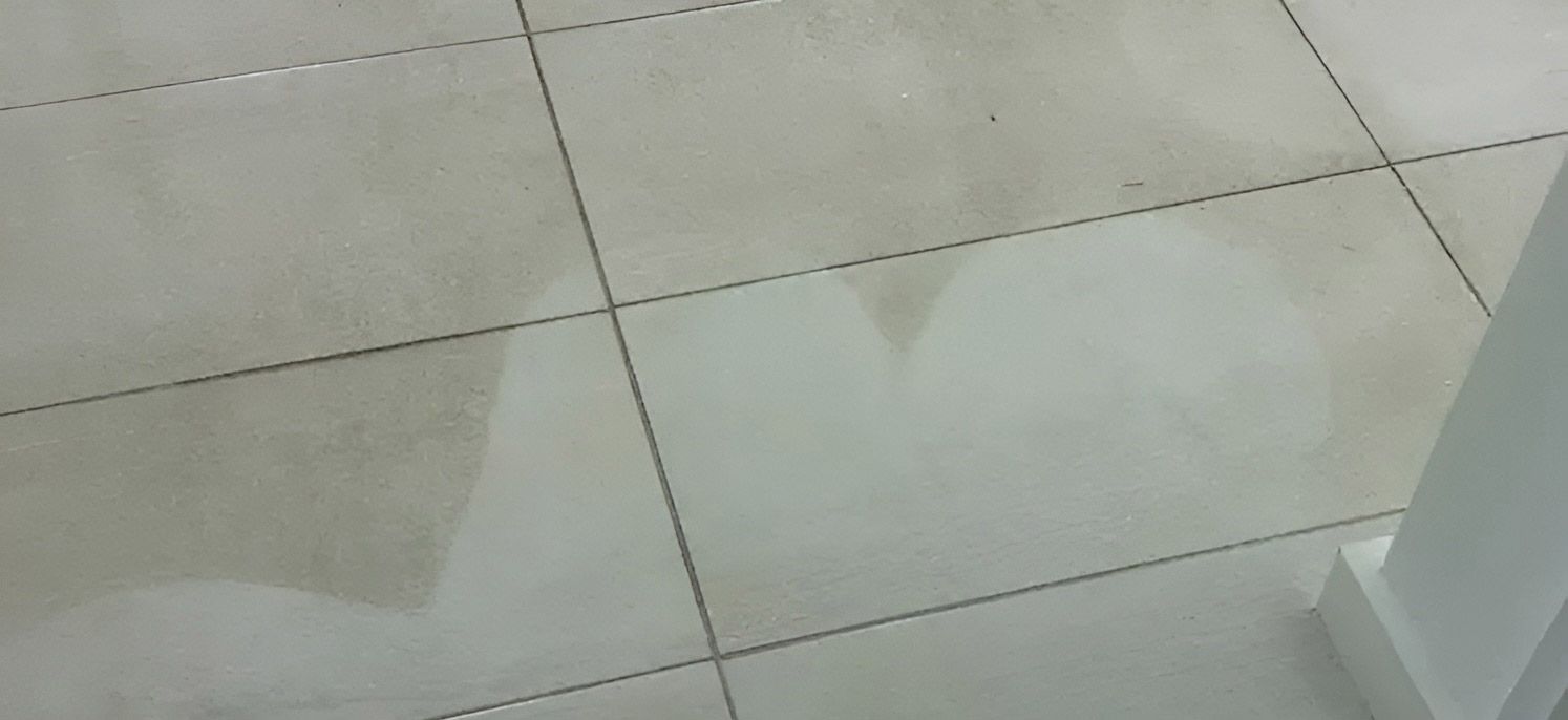 Dirty Tiles Flooring — Dryology Carpet Cleaning in Swansea, NSW
