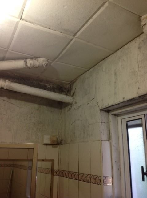 A Bathroom With A Dirty Tiled Ceiling And A Window — Dryology Carpet Cleaning in  Charlestown, NSW