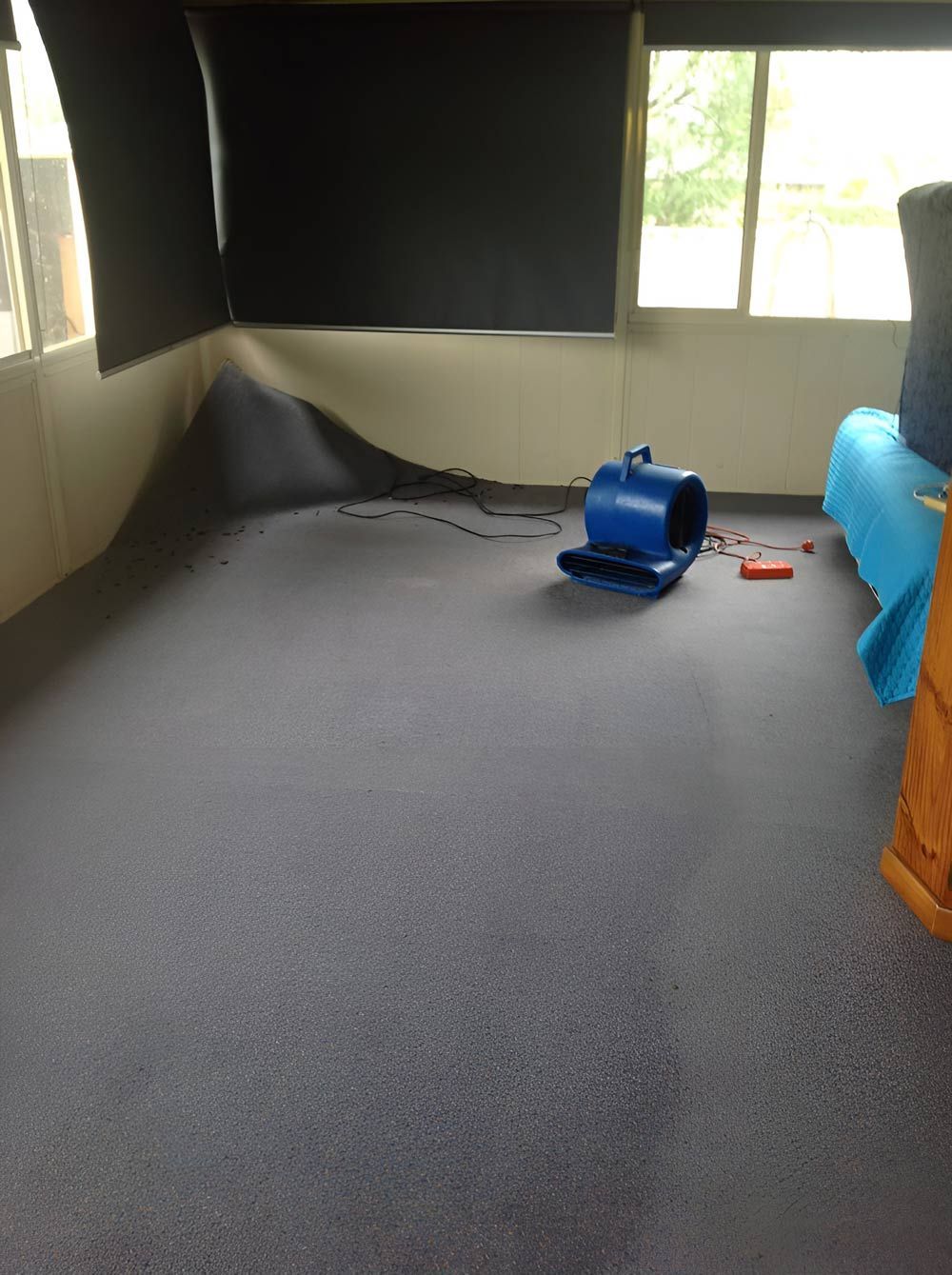 Carpet Room Damage By The Water With Blue Fan — Dryology Carpet Cleaning in Maitland, NSW