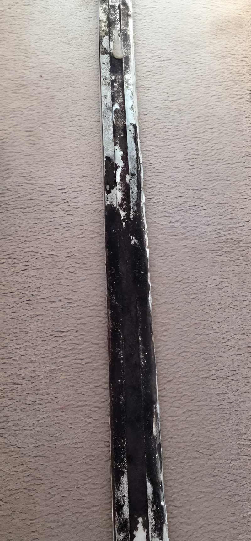 A Black And White Piece Of Wood With Mould Is Sitting On A Carpet — Dryology Carpet Cleaning in Nelson Bay, NSW