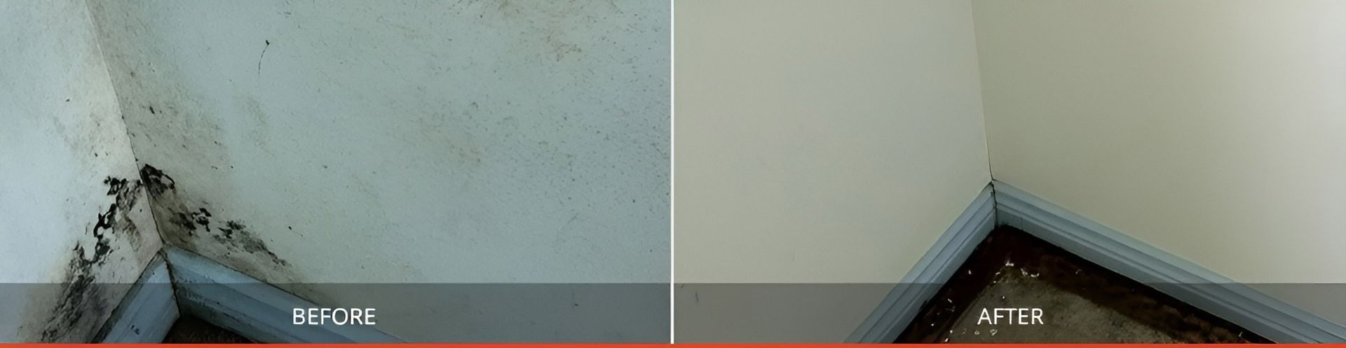 Wall With Mold Before And After Cleaning — Dryology Carpet Cleaning in Mayfield, NSW