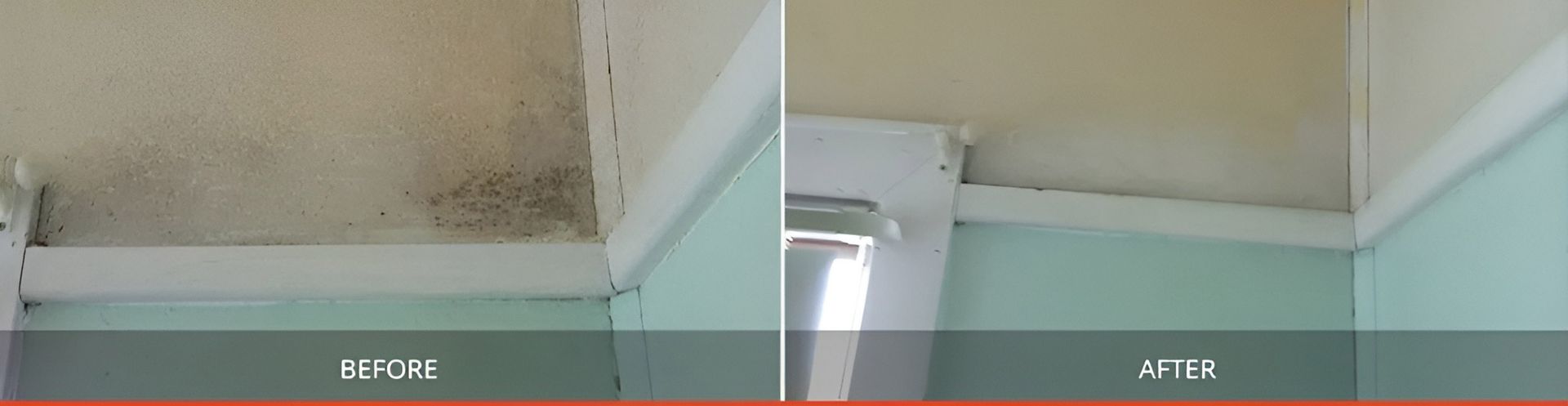 Before And After Of A Wall With Mold On It — Dryology Carpet Cleaning in Cardiff, NSW