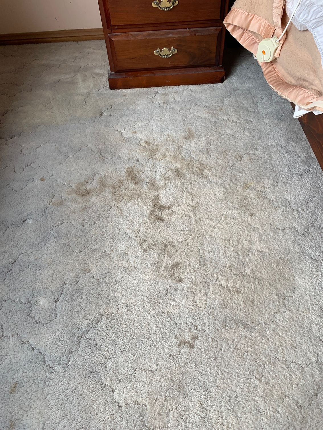 A stained, beige carpet in a room with a brown nightstand — Dryology Carpet Cleaning in Salamander Bay, NSW