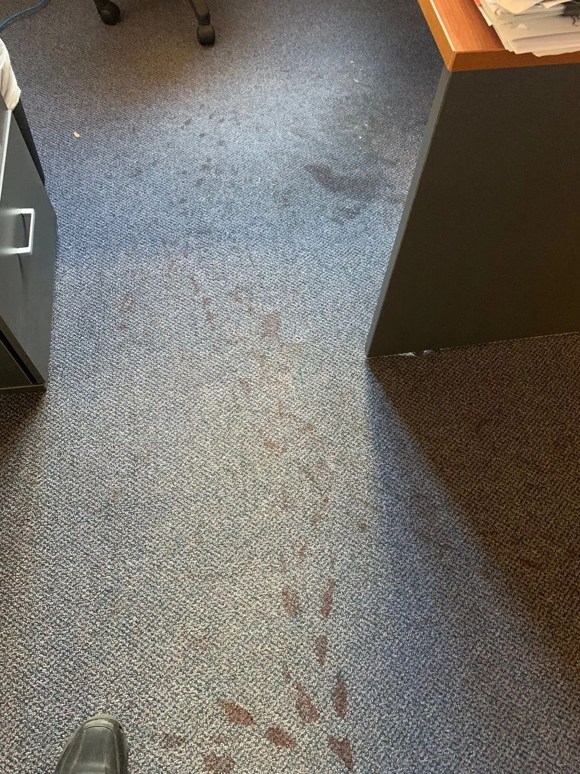 Blood Stains on a Gray Office Carpet Floor — Dryology Carpet Cleaning in Lake Macquarie, NSW