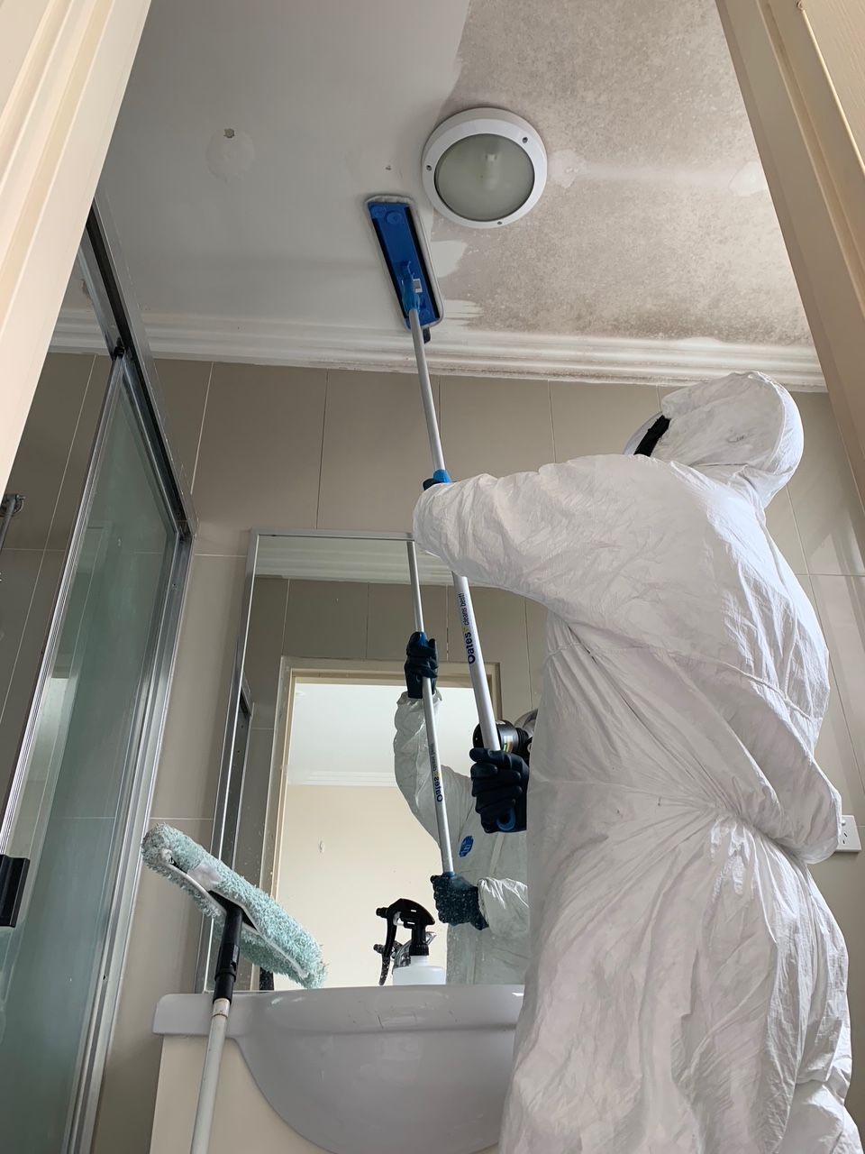 A Person Is Spraying Mold On A Wall With A Sprayer — Dryology Carpet Cleaning in Charlestown, NSW