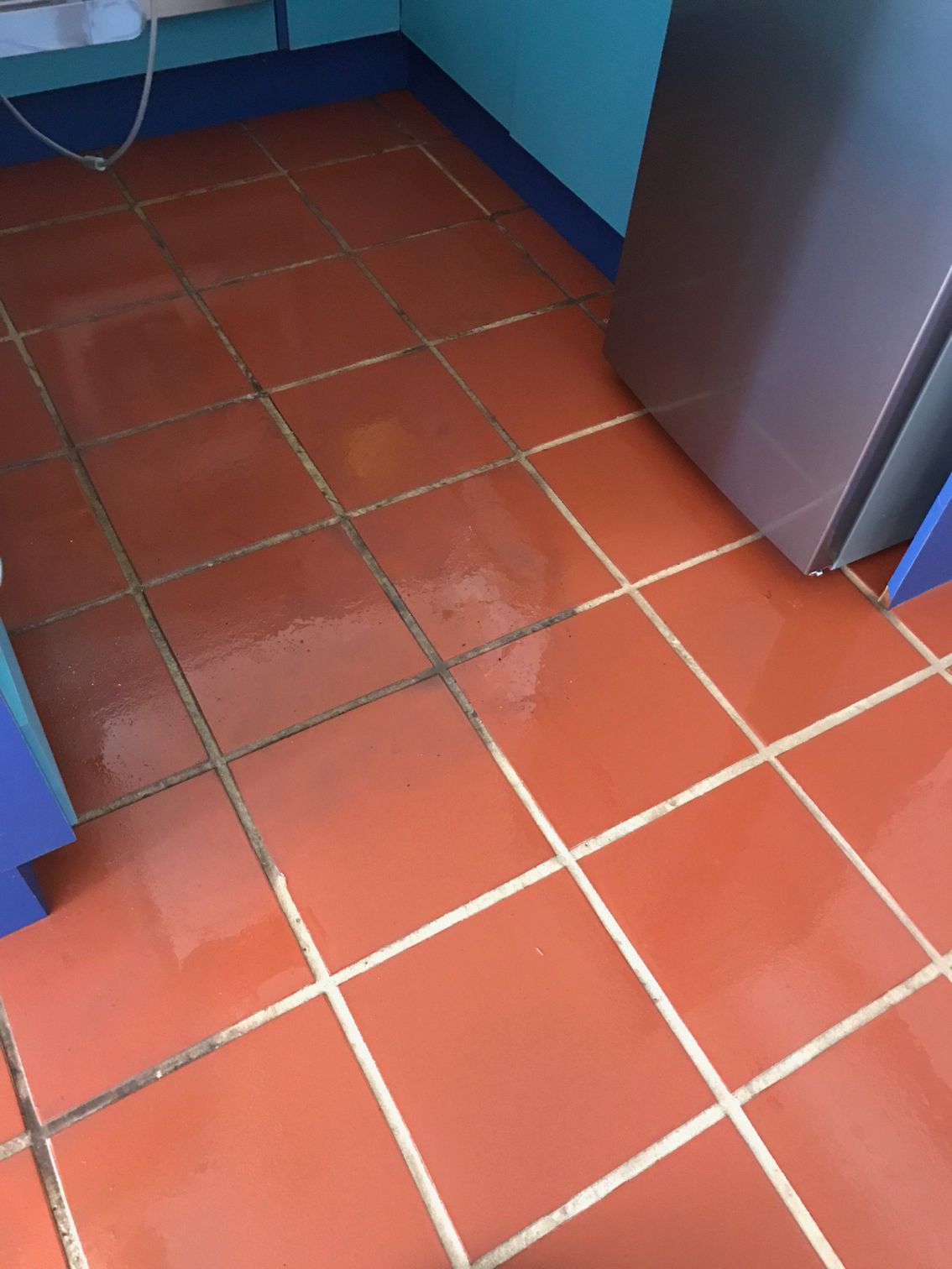 A Person Wearing Black Gloves is Cleaning a Tile Floor With a Sponge — Dryology Carpet Cleaning in Salamander Bay, NSW