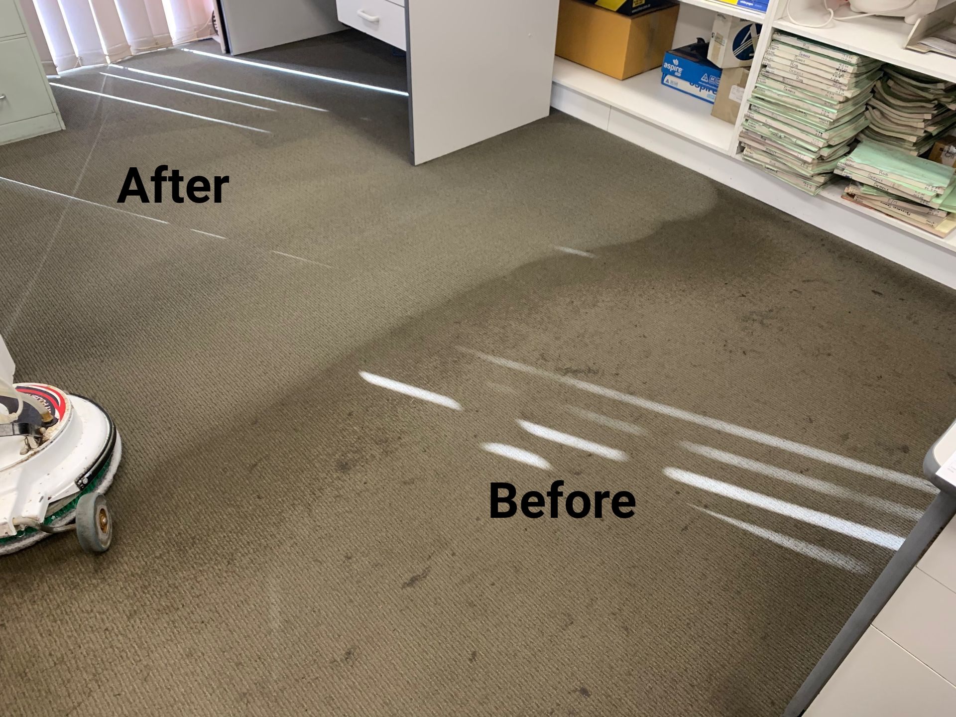 A Close-up Of A Cleaning Of The Carpet — Dryology Carpet Cleaning in Salamander Bay, NSW