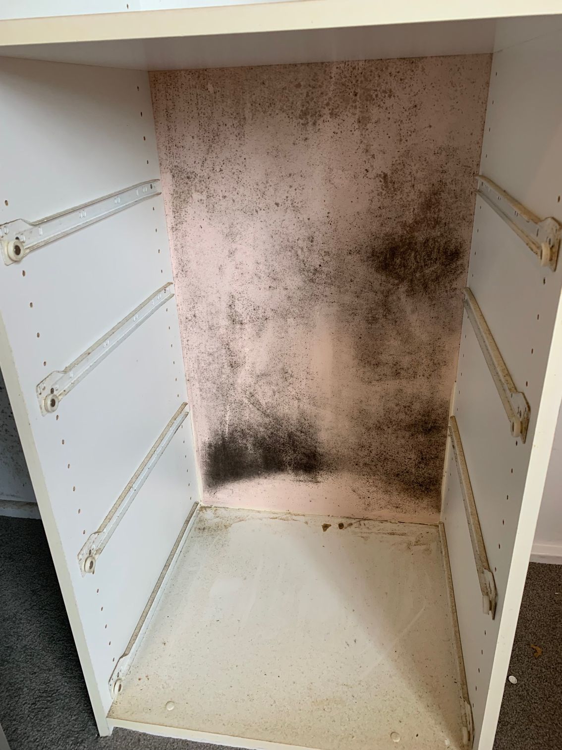 Inside a white cabinet with visible black mold growth on the back panel — Dryology Carpet Cleaning in Salamander Bay, NSW