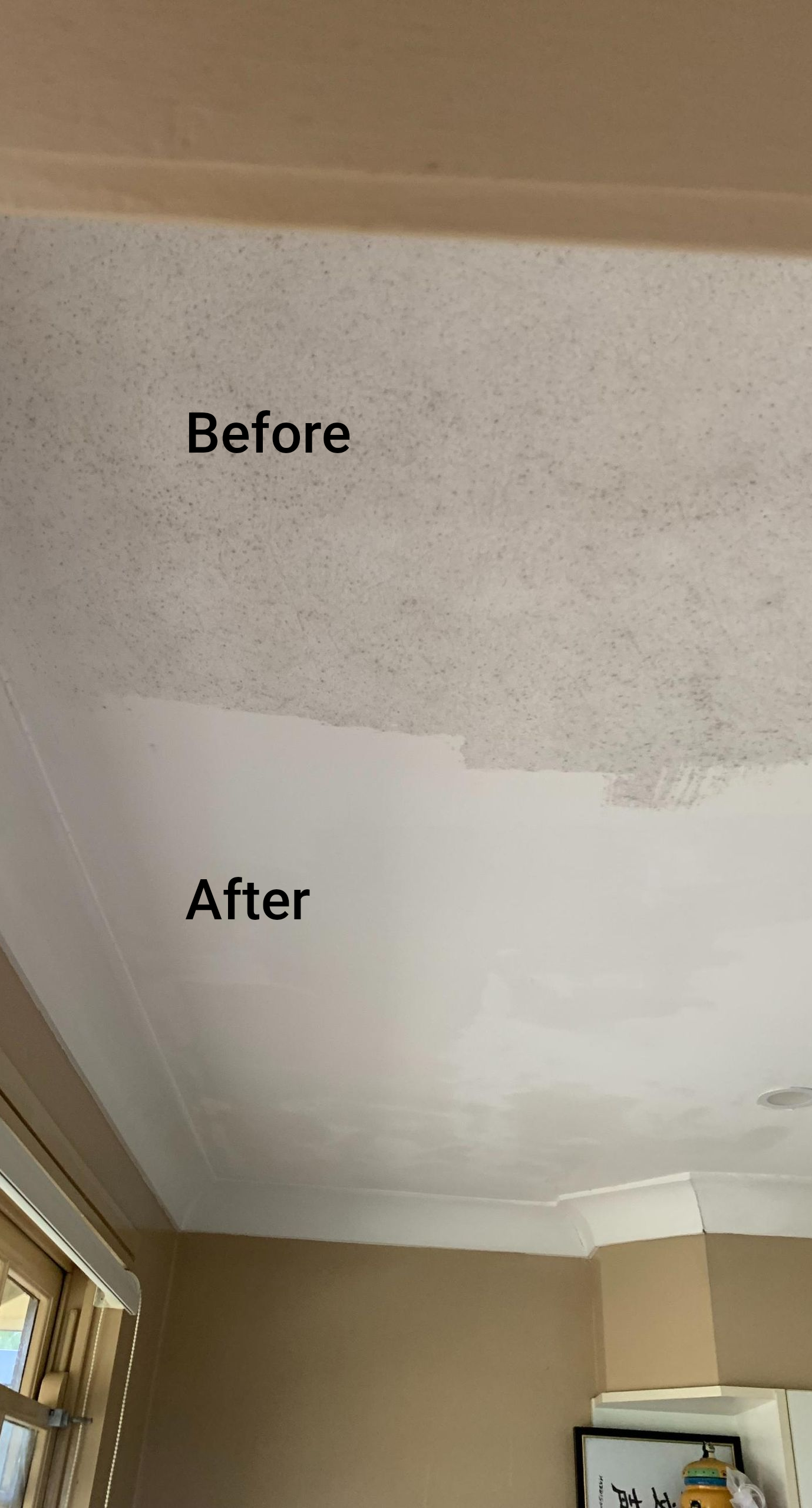 A Specialist Spraying A Hall That Has Mould On The Ceiling — Dryology Carpet Cleaning in Salamander Bay, NSW