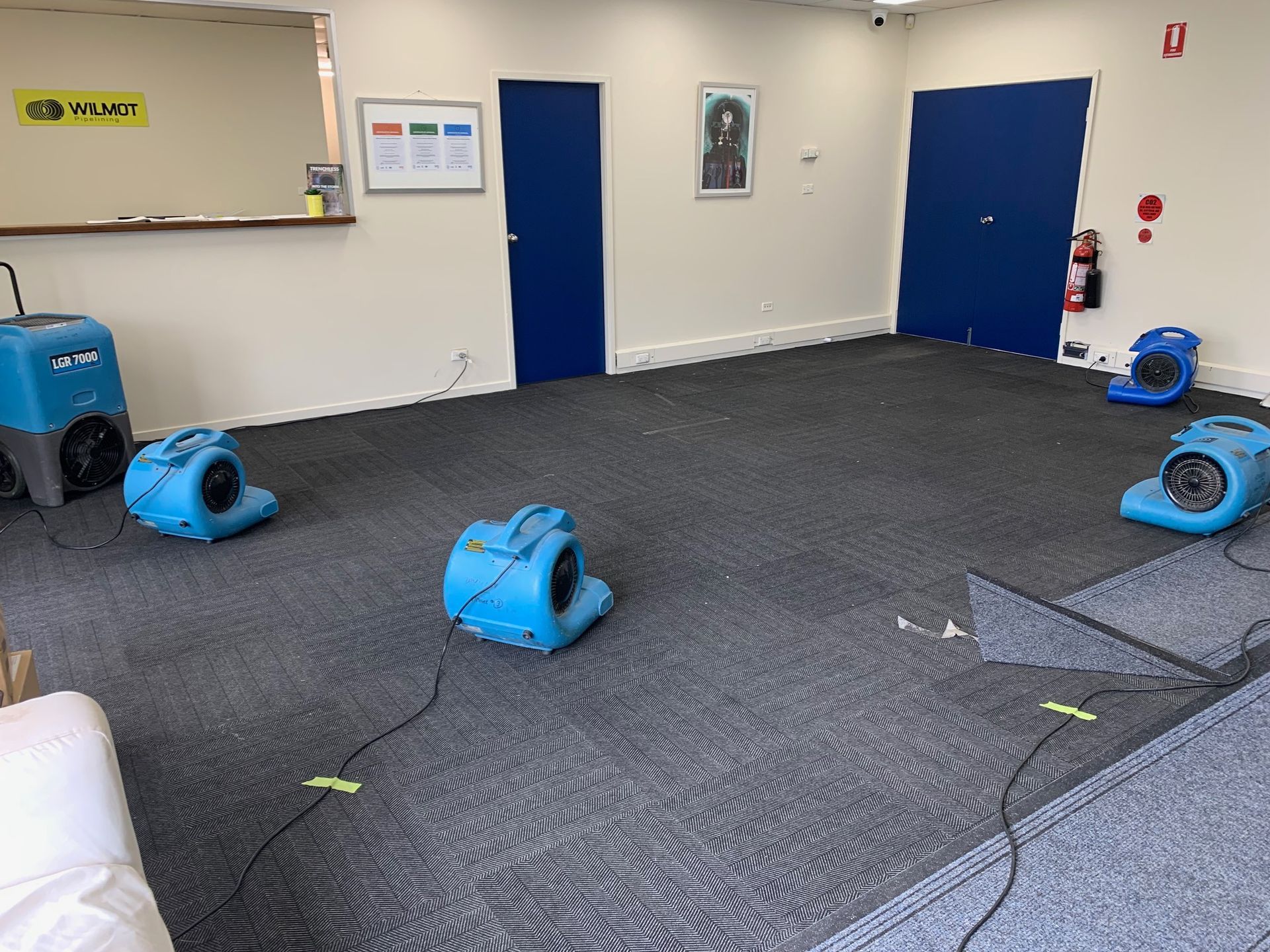 A room with a lot of fans on the floor — Dryology Carpet Cleaning in Salamander Bay, NSW