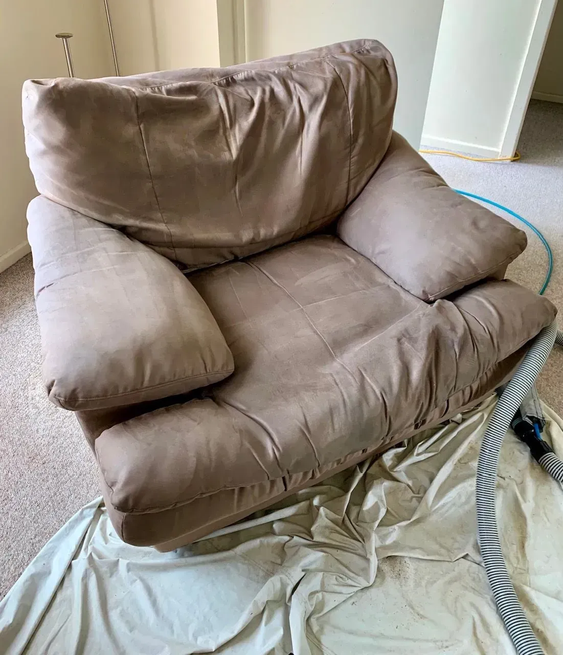 A Tan, Heavily Used Armchair on a Protective Cloth, With a Vacuum Hose Nearby — Dryology Carpet Cleaning in Hamilton, NSW