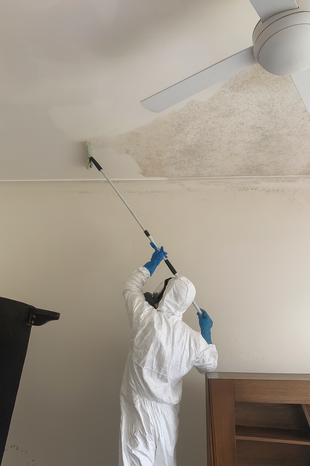 A Corner Of A Wall With Black Mold Growing On It — Dryology Carpet Cleaning in Belmont, NSW