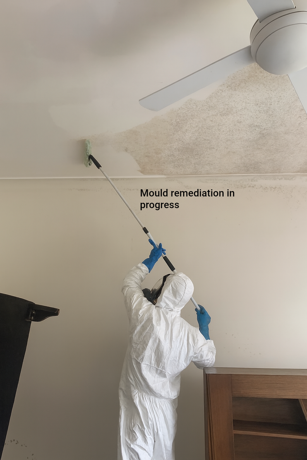 A vacuum cleaner is sitting on top of a carpet in a room — Dryology Carpet Cleaning in Salamander Bay, NSW