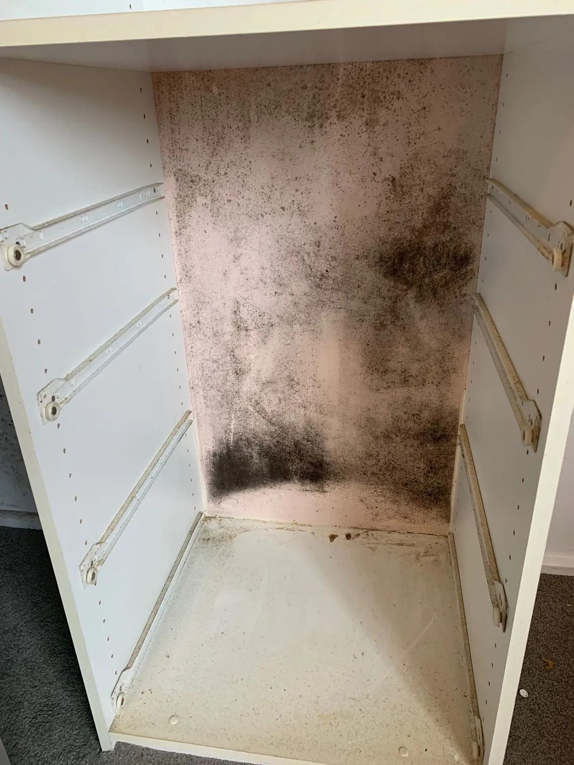 Mold Infestation Inside a White Cabinet — Dryology Carpet Cleaning in Lake Macquarie, NSW