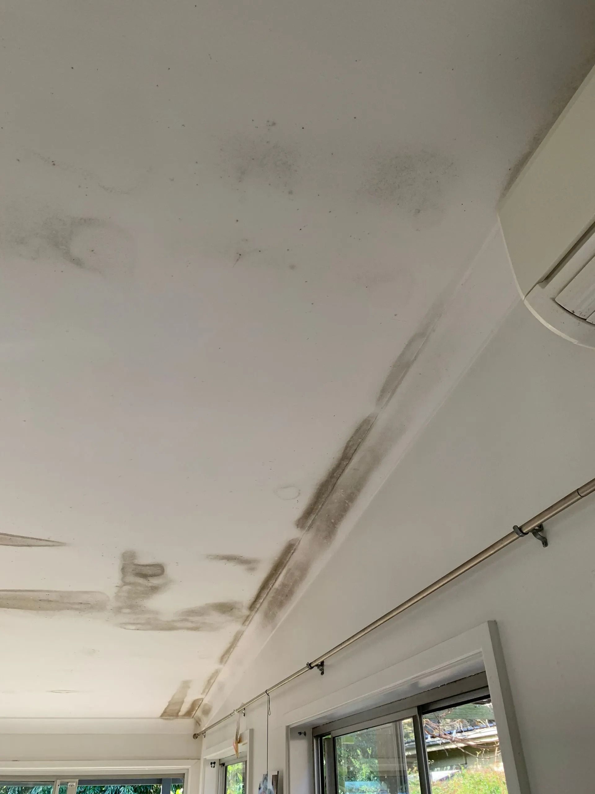 Ceiling Stained With Dark Patches From Water Damage — Dryology Carpet Cleaning in Singleton, NSW