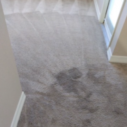 Beige carpet with dark stain near doorway.