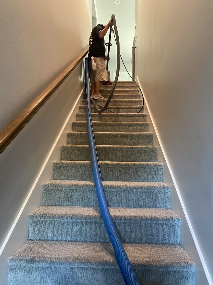 Person vacuuming carpeted staircase with a blue hose, gold handrail, and white walls.