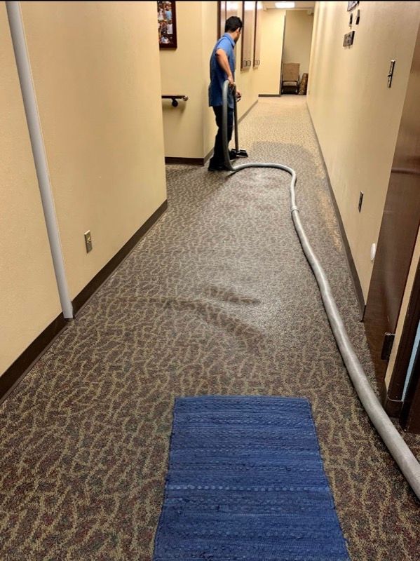 Person vacuuming hallway carpet; blue rug on floor.