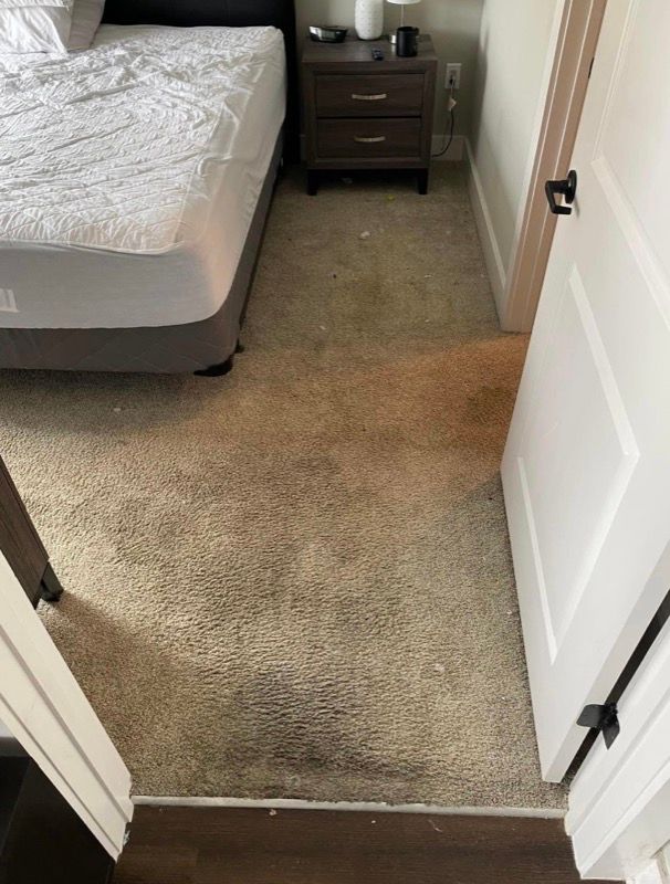 Beige carpeted bedroom with bed, nightstand, and open doorway. Dark stains are visible on the carpet.