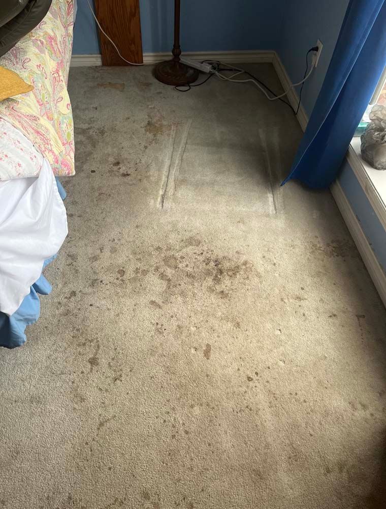 A dirty carpet in a bedroom next to a bed.