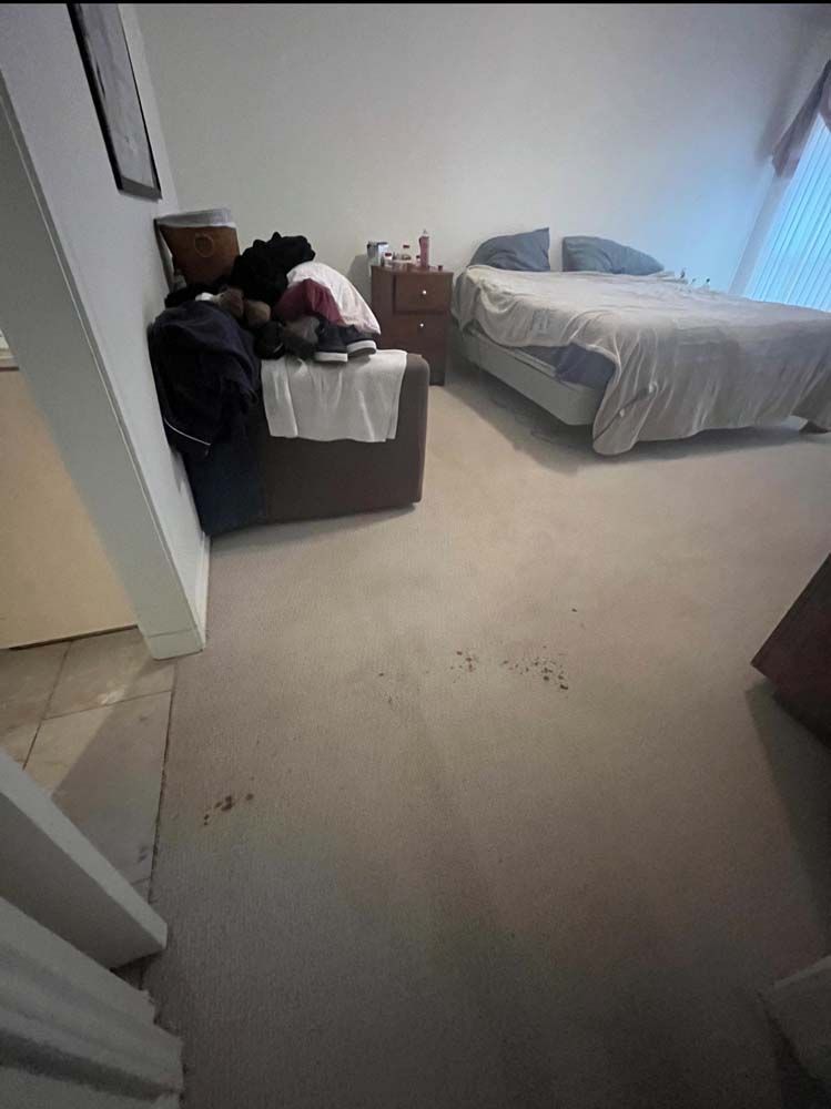Bedroom with bed, nightstand, sofa, and stains on the carpet.