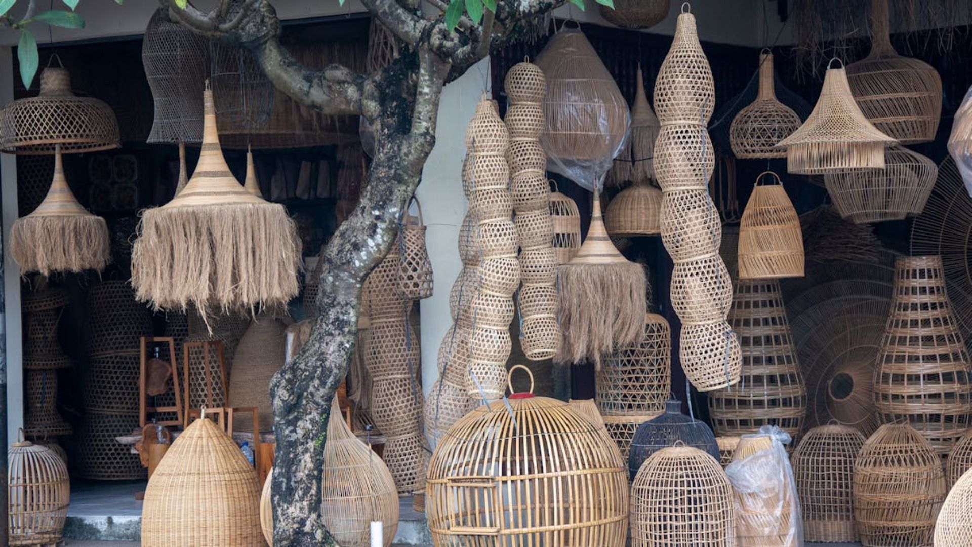Lámparas de ratán tejido y artículos de decoración cuelgan afuera de una tienda, con un tronco de árbol en el medio.