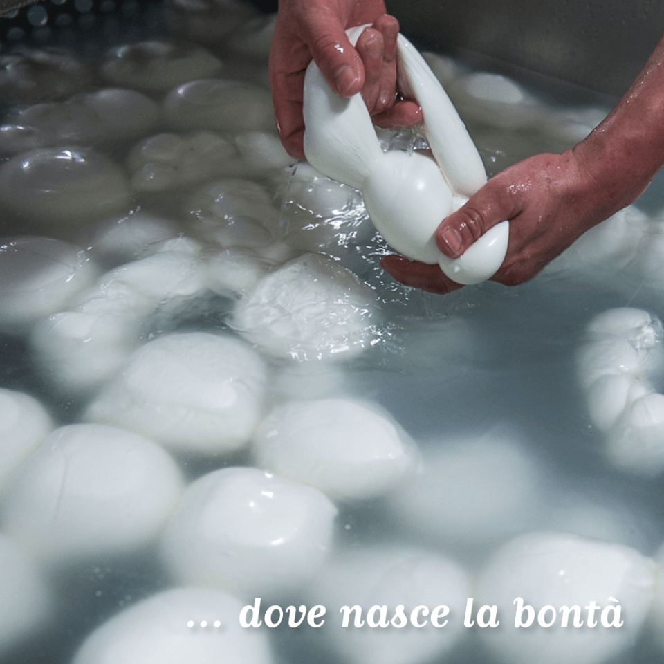 mozzarelle di bufala