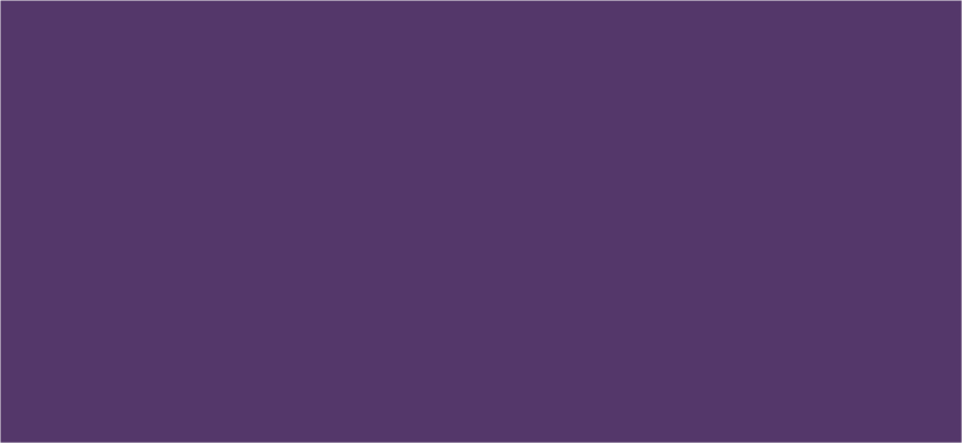 Canvas Colour Sport Purple