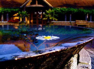 Amaravati Buddhist Monastery