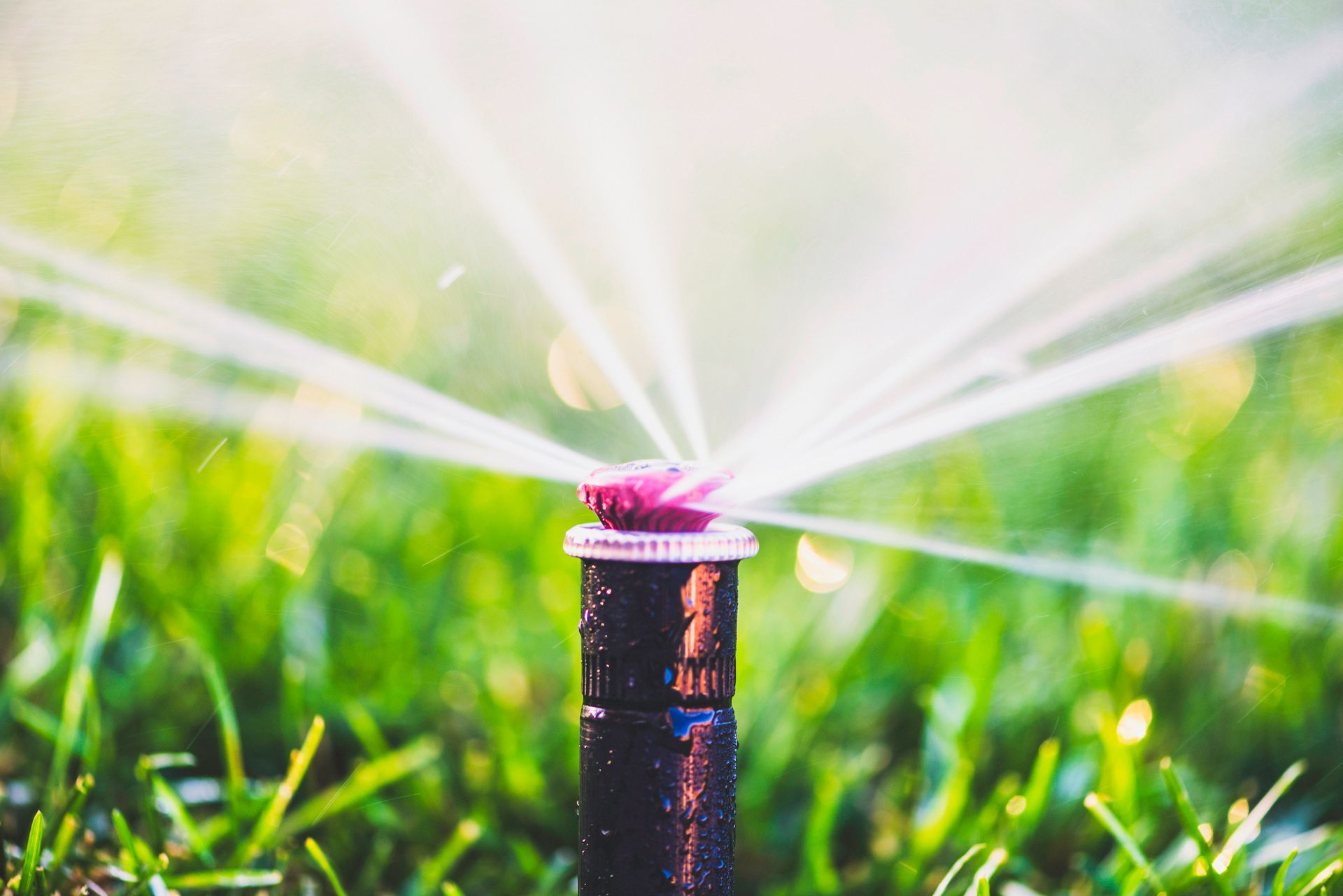 Outdoor Chairs and Sprinkler at the Back — Scottsdale, AZ — Arizona Irrigation Repair