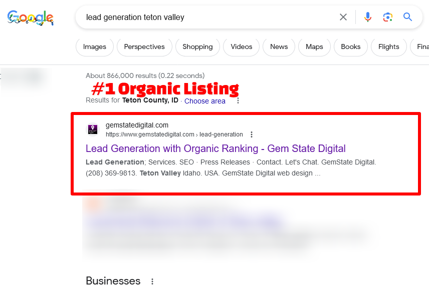 a google search for web design in teton valley wydaho reveals gemstatedigital.com as the first result.