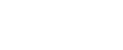 Shayne Law Group P.C.  International Law Attorney Logo 