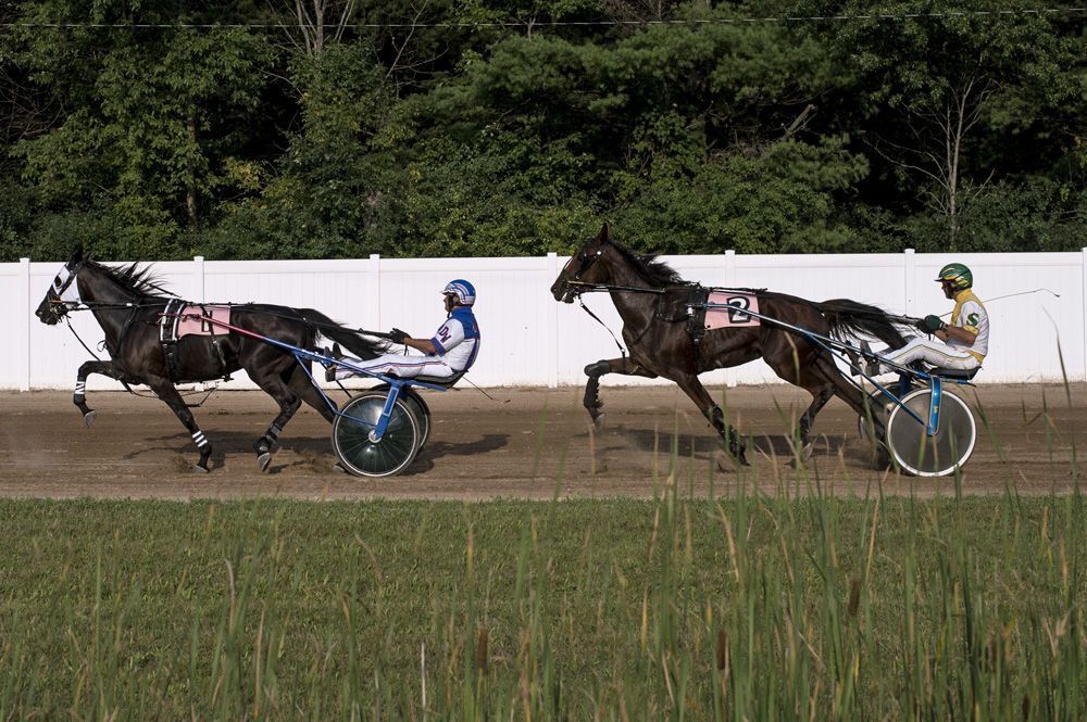 Two horses and a jockey are racing on a track.