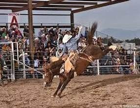 Michigan fairs