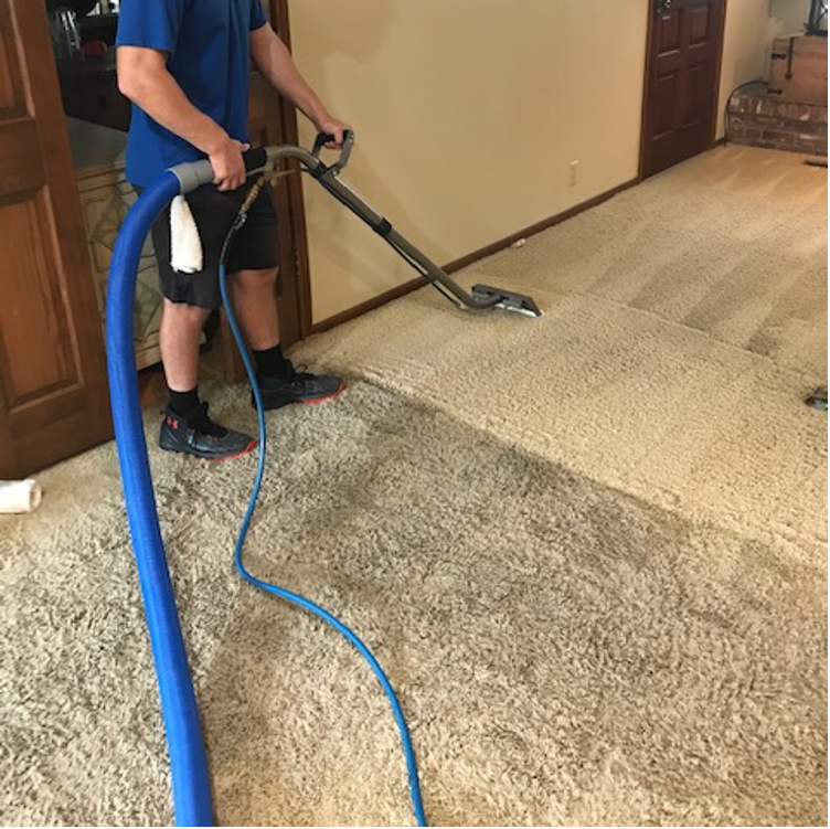 carpet cleaning hutchinson ks