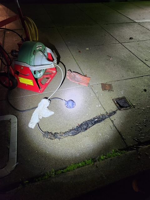 A snake is crawling out of a hole in the ground next to a vacuum cleaner.